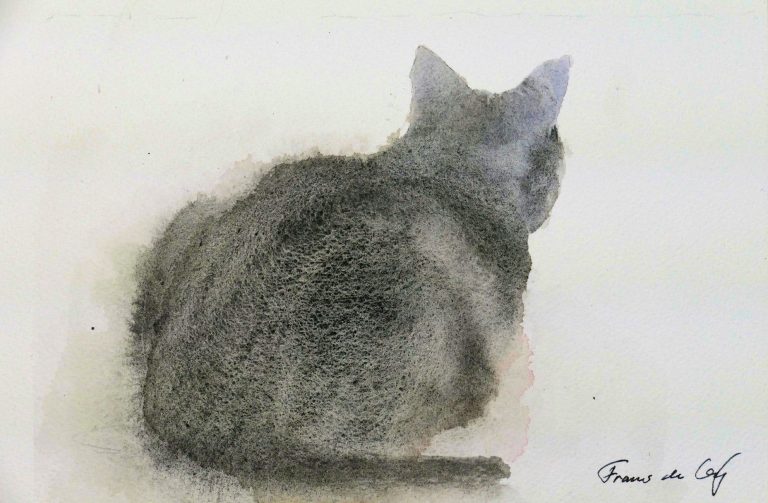 watercolour painting of a cat looking attentively
