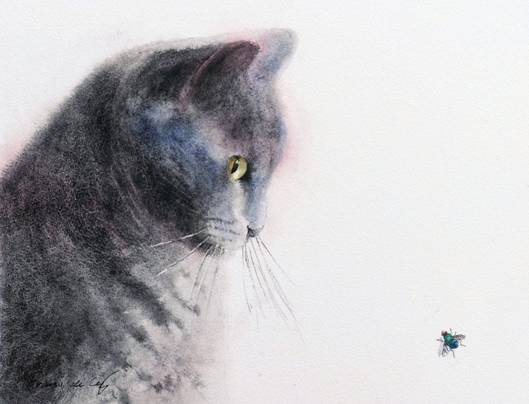 watercolour painting of a cat looking at a fly