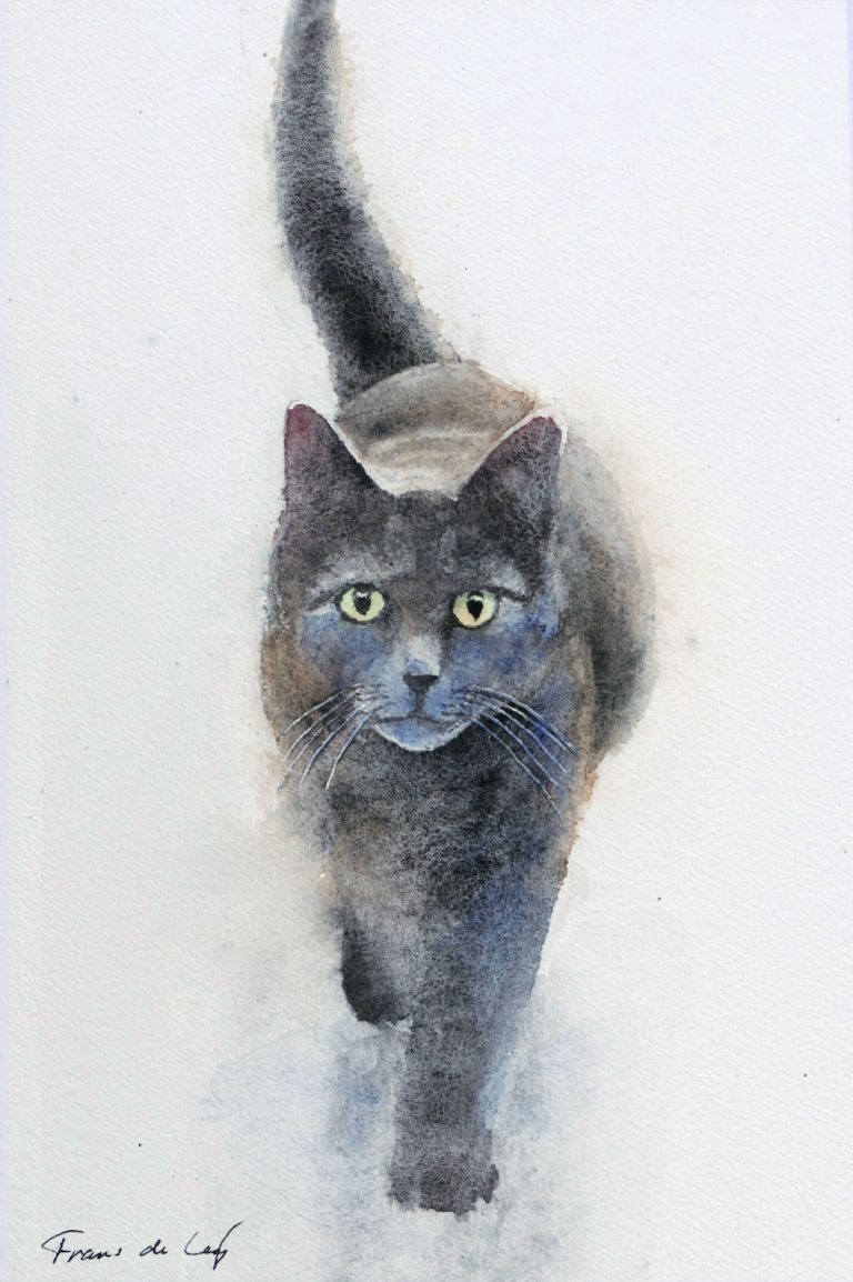 Watercolour painting of a walking cat