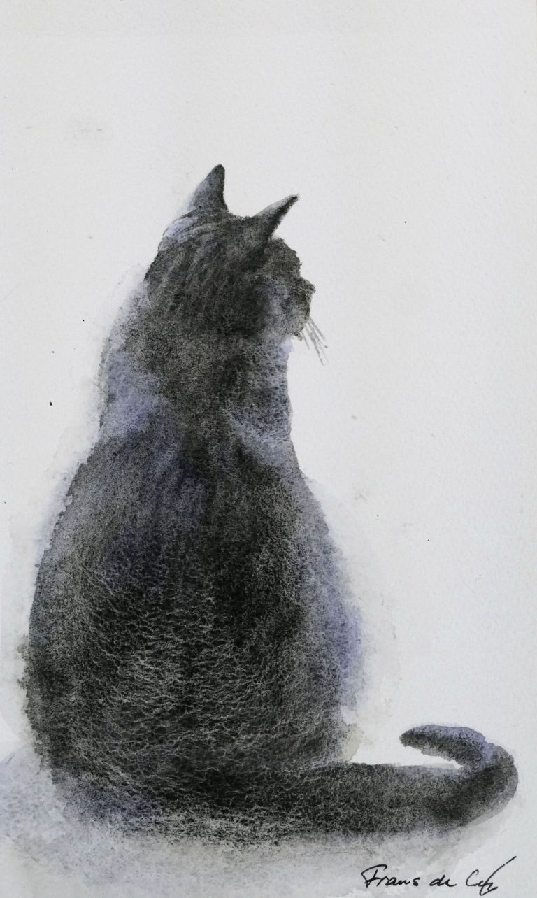 watercolour painting of a cat looking away