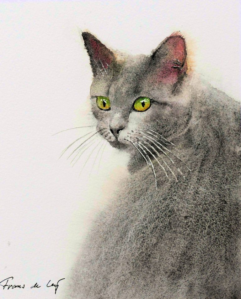 watercolour painting of a cat looking back