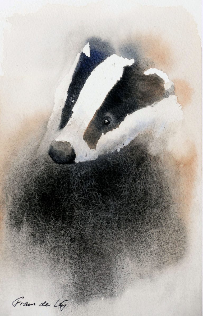 animal portrait painting of a badger