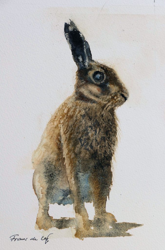 animal watercolour painting of a brown hare