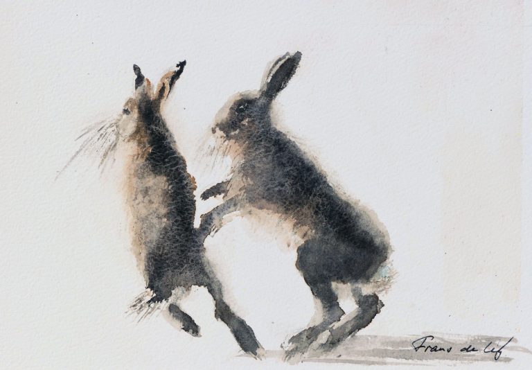 Watercolour painting of two boxing hares