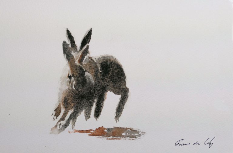 watercolour painting of two chasing hares
