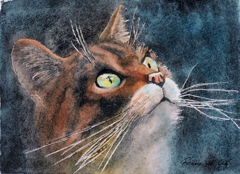 animal painting of a scottish wild cat