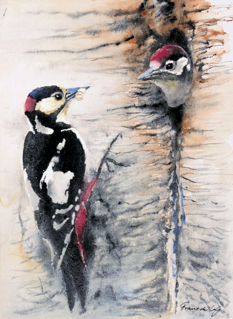 bird painting of a great spotted woodpecker feeding its young