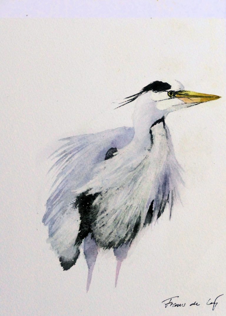 bird painting of a grey heron