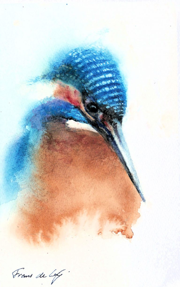 bird painting of a kingfisher
