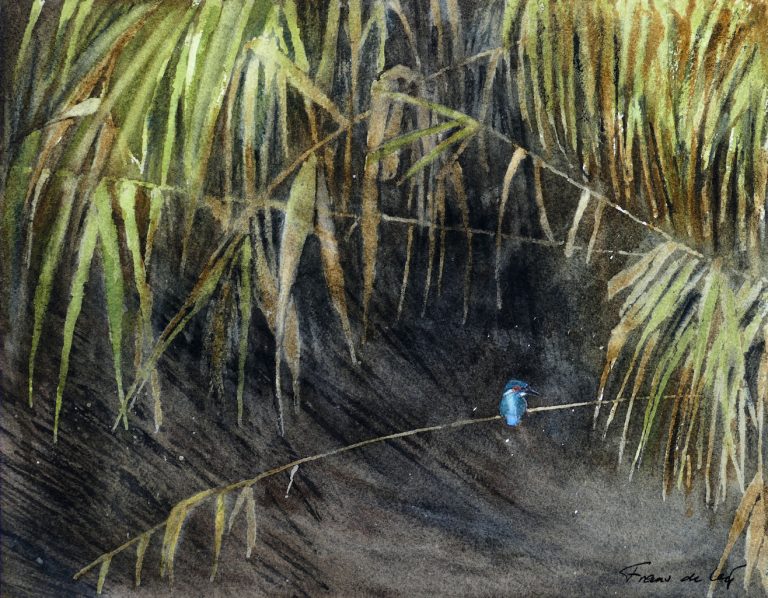bird painting of a kingfisher sitting in the reeds