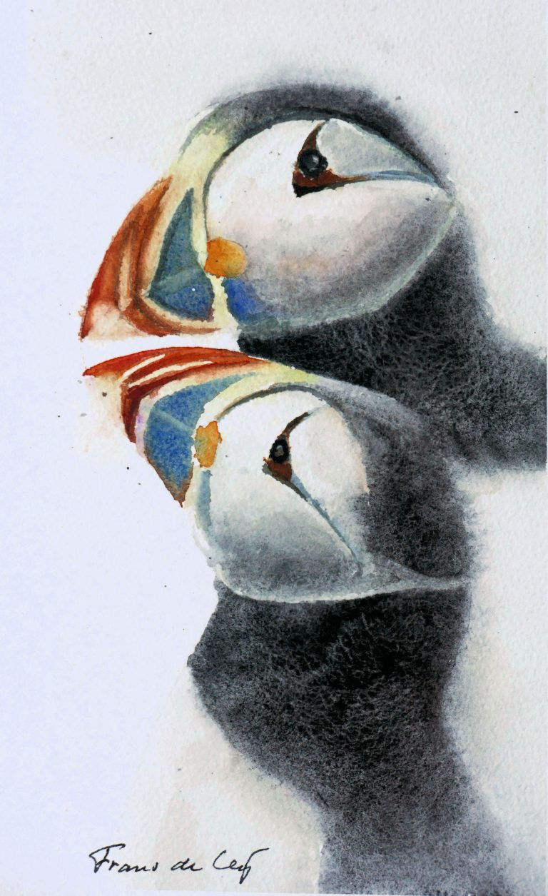 bird painting of two puffins