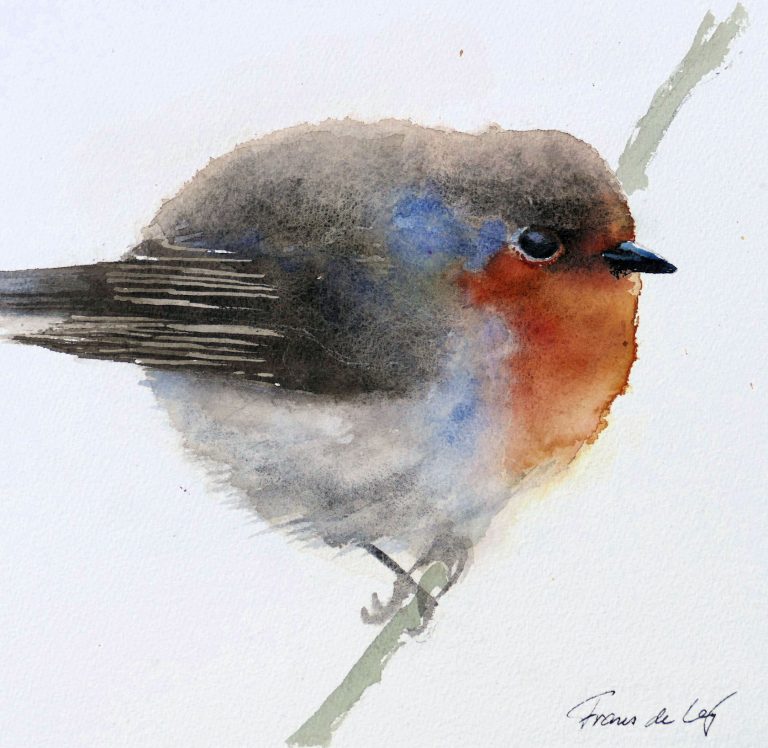 bird painting of a robin