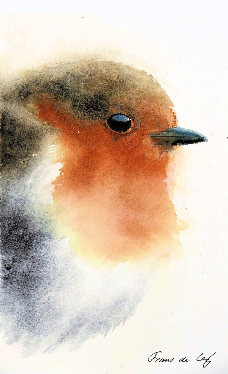 bird painting of a robin head and chest