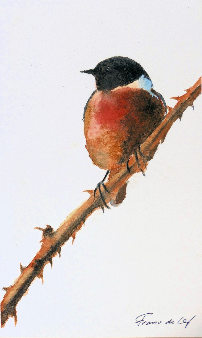 bird watercolour painting of a stonechat