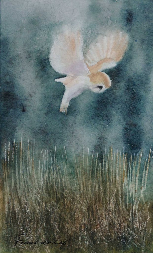 bird watercolour painting of a hunting barn owl