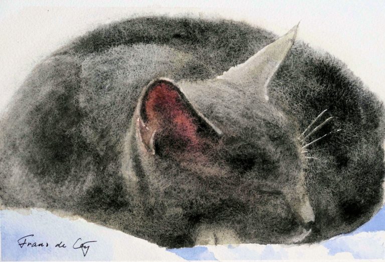 watercolour painting of a sleeping cat