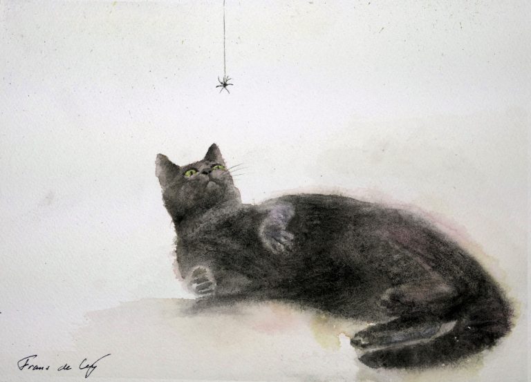 watercolour painting of a cat looking at a spider