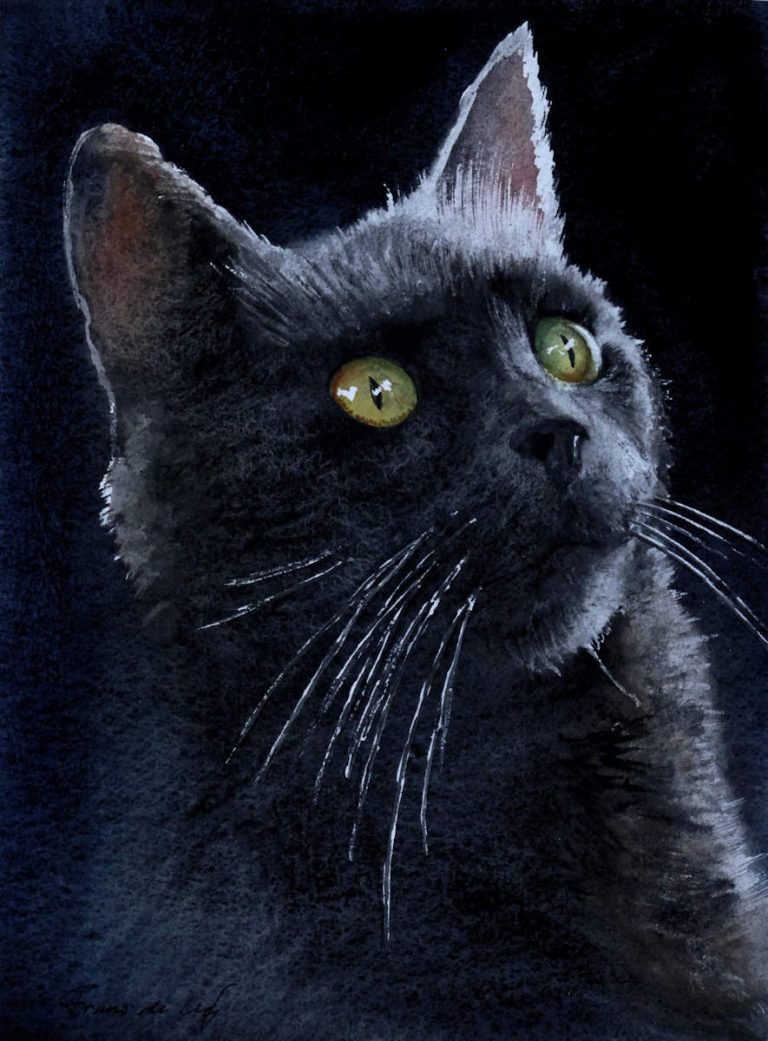 watercolour painting of a cat with a black background
