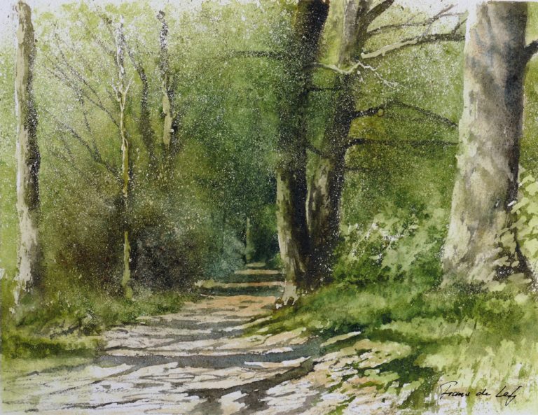 Watercolour painting of a path with tree shadows