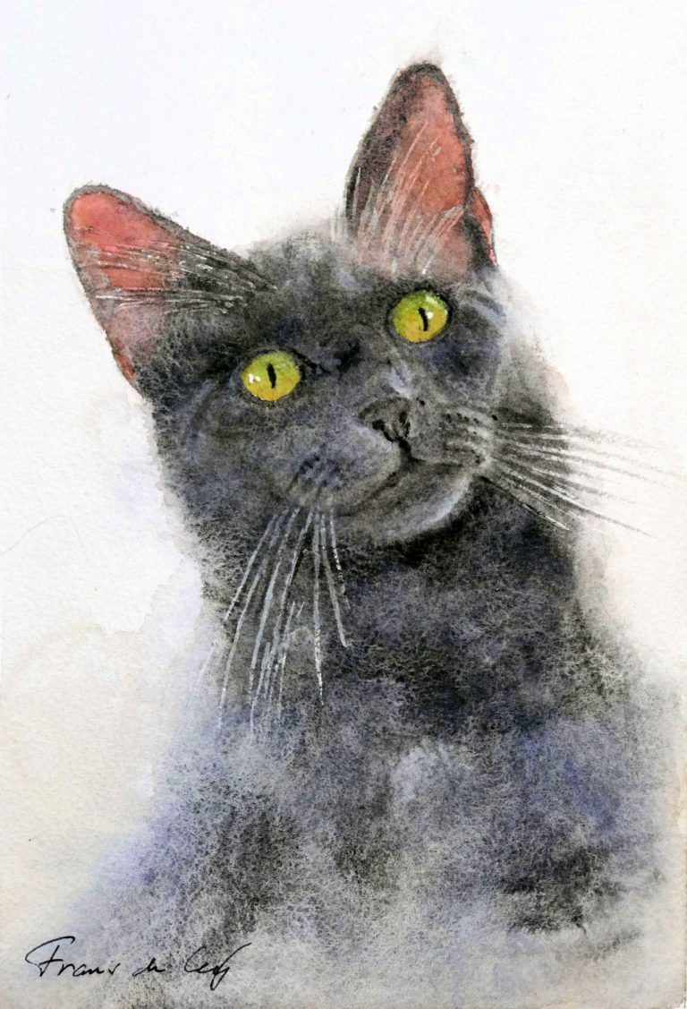 watercolour pet portrait painting of a cat