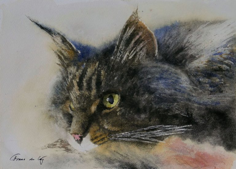 pet portrait painting of a main coon cat
