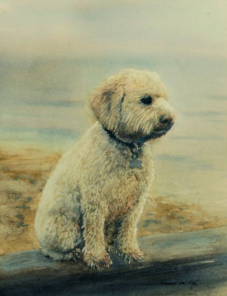 pet portrait painting of a cockapoo dog