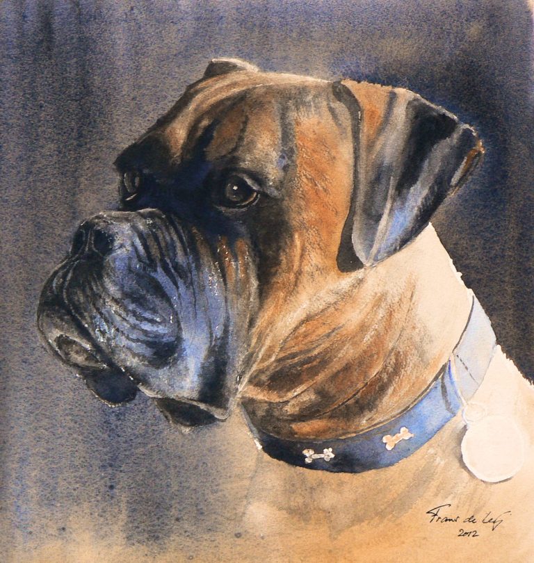 portrait painting of a boxer dog