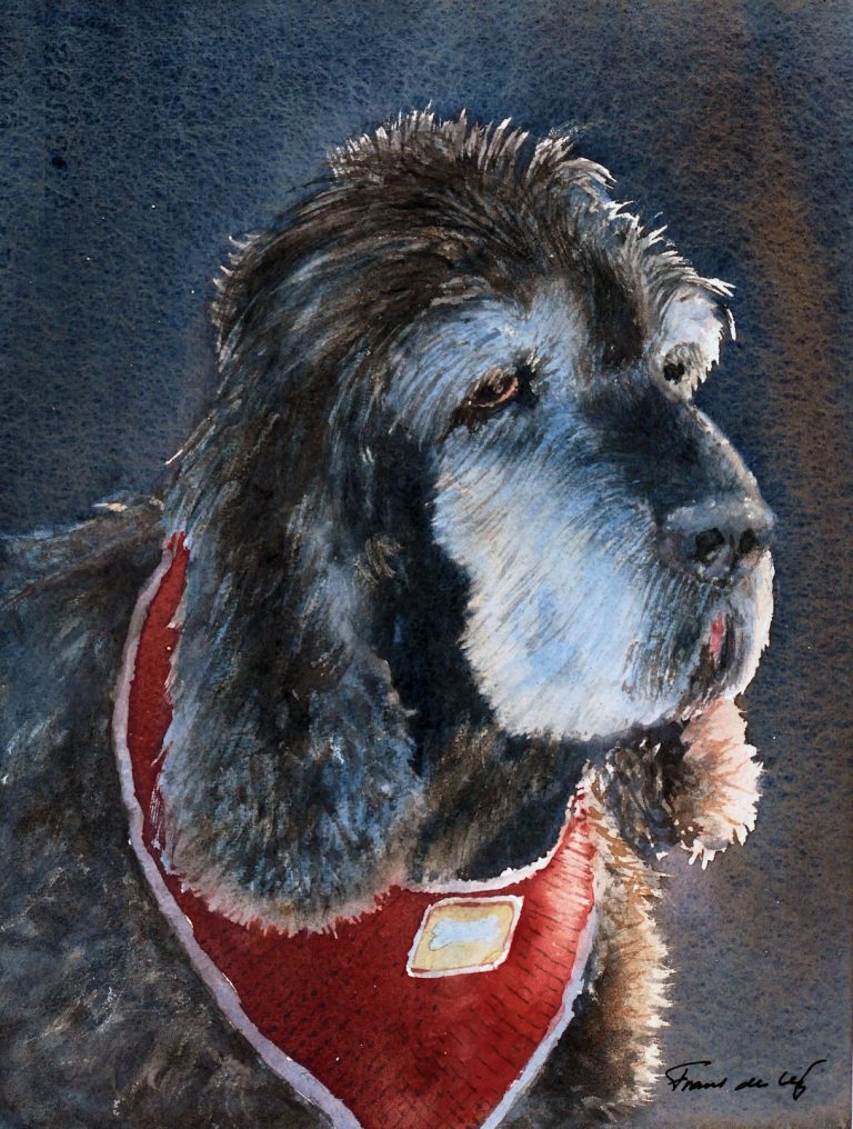 pet portrait painting of a cocker spaniel dog