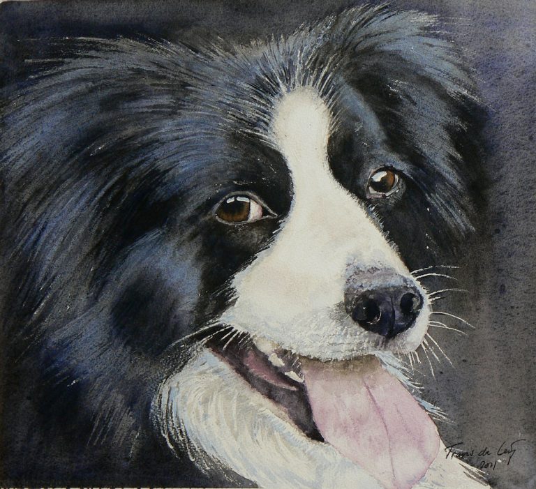 pet portrait painting of a collie dog