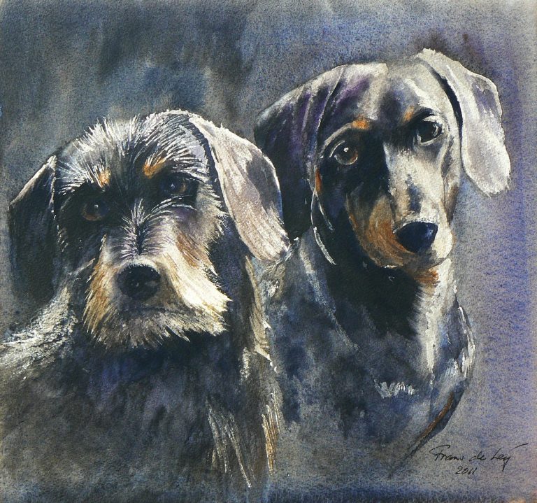 pet portrait of two dachshunds
