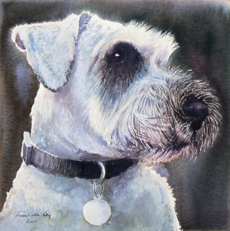 pet portrait painting of a schnauzer dog