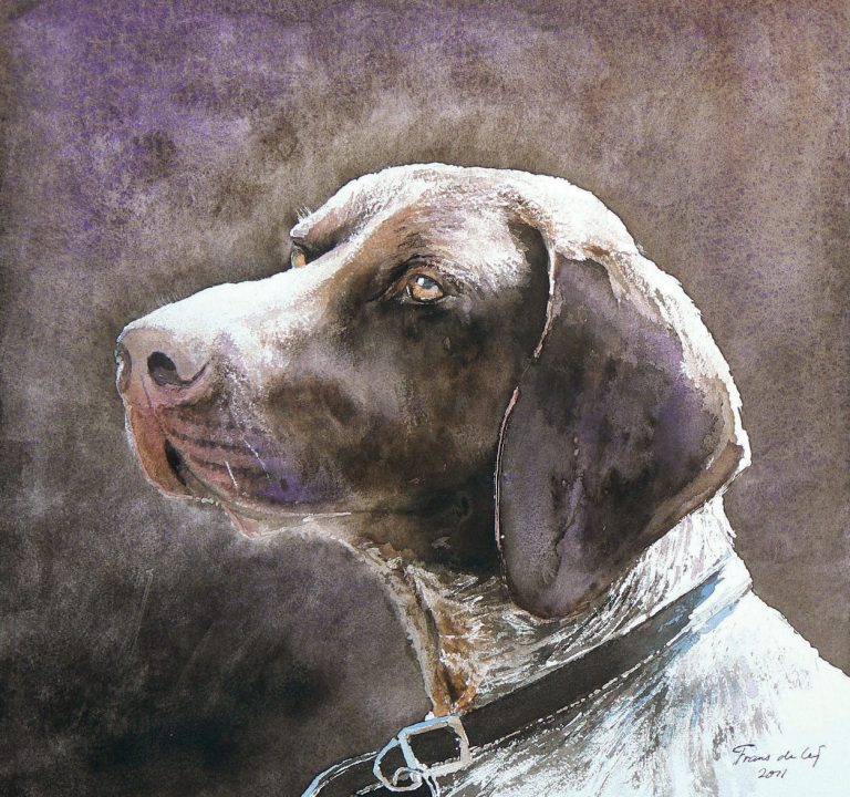 pet portrait painting of a german shorthair pointer dog