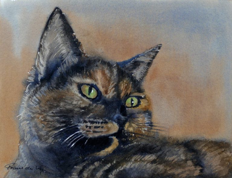 pet portrait watercolour painting of a tabby cat