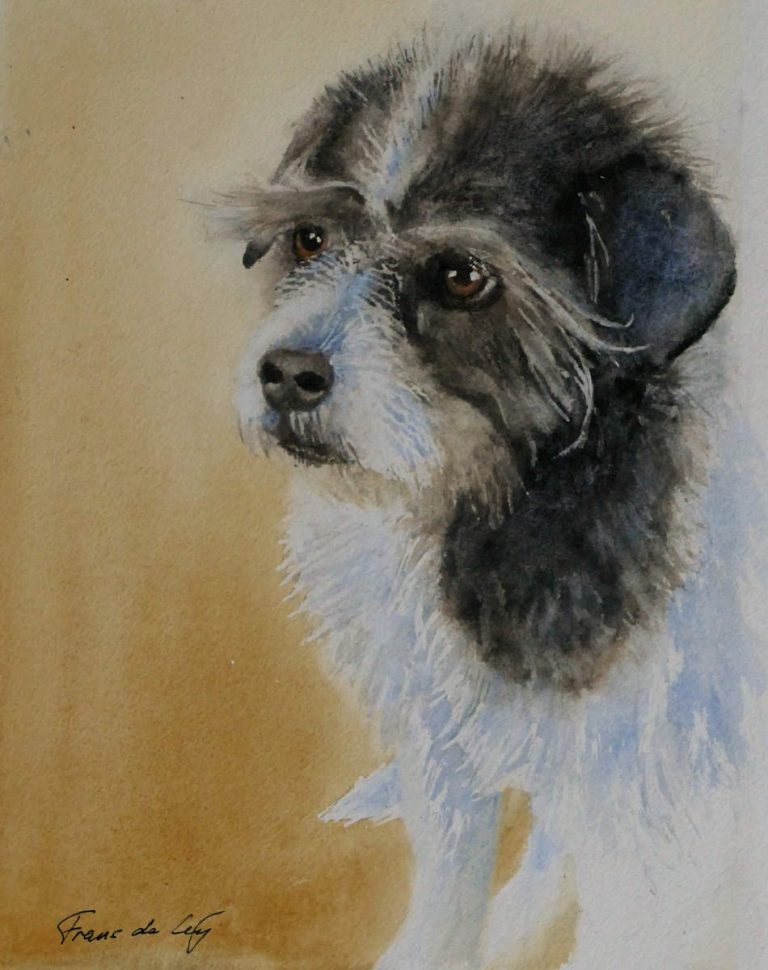 Pet portrait of a dog by frans de leij
