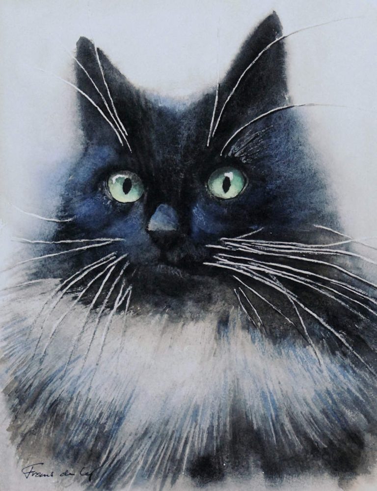 Pet portrait of cat Jasper by frans de Leij