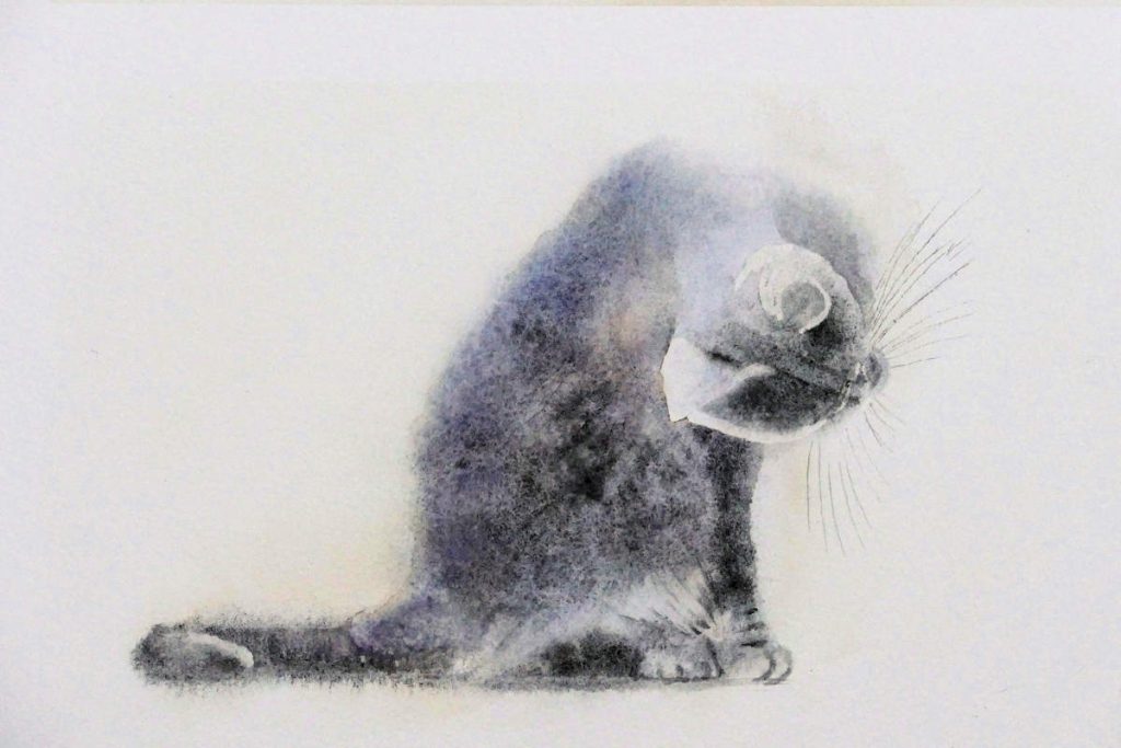 Watercolour painting of cat cleaning herself by frans de leij