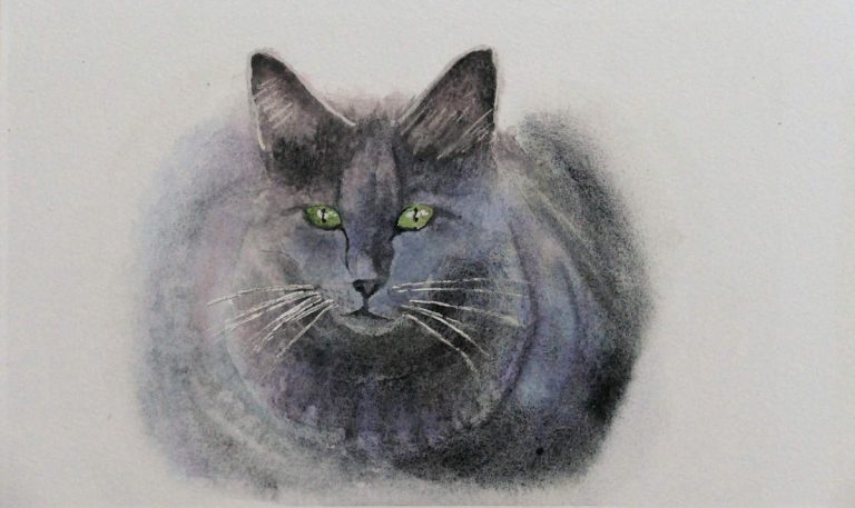 watercolour painting of cat by frans de leij