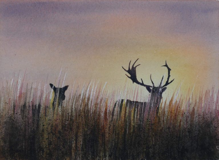 Watercolour painting of a stag and hind by Frans de Leij