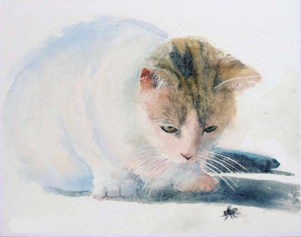 Watercolour Painting by Frans de Leij of a cat watching a fly