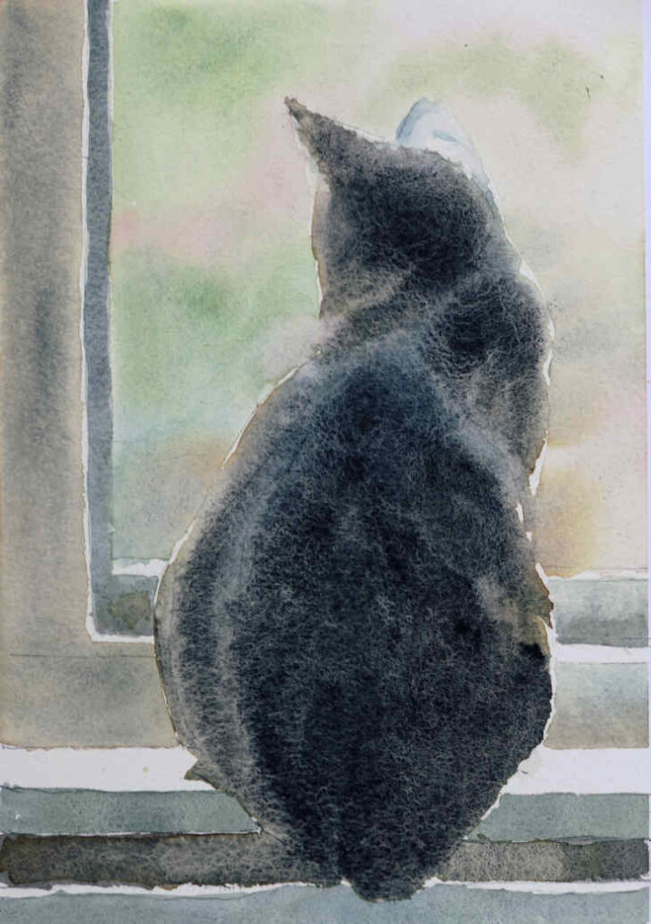 Watercolour painting of cat sitting in front of window