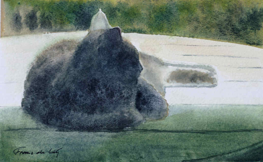 Watercolour painting by Frans de Leij of a cat resting on a table