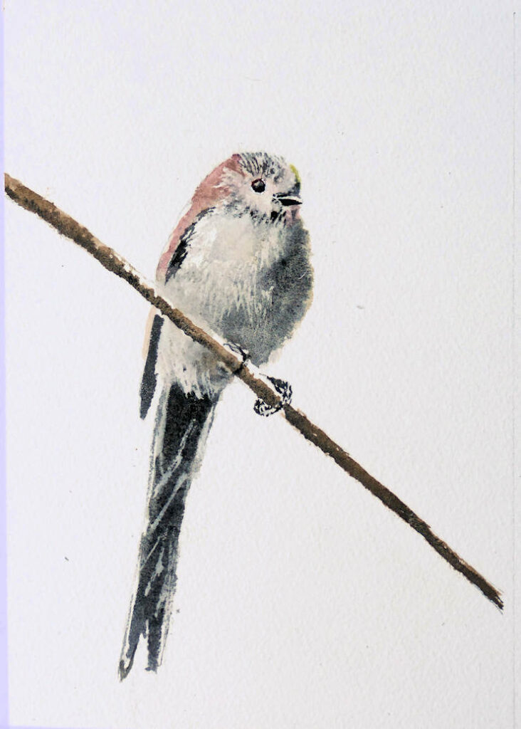 Watercolour painting of a long-tailed tit by Frans de Leij