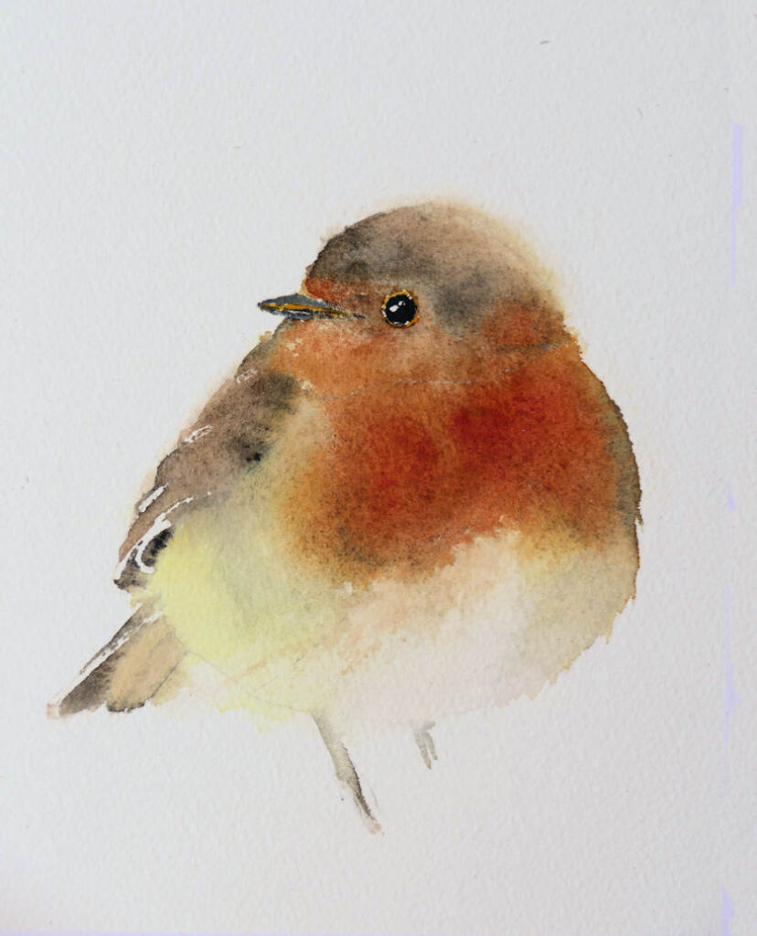 Watercolour Painting by Frans de Leij of a robin