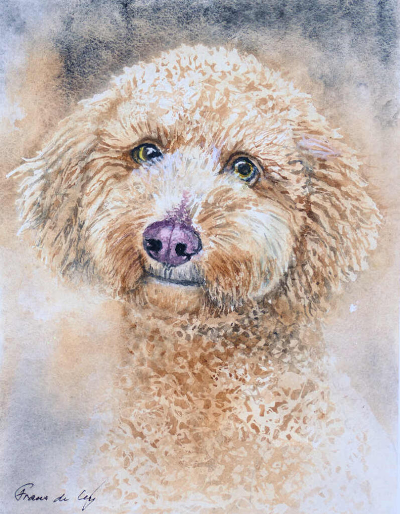 Portrait watercolour painting of cockapoo dog by Frans de Leijing of